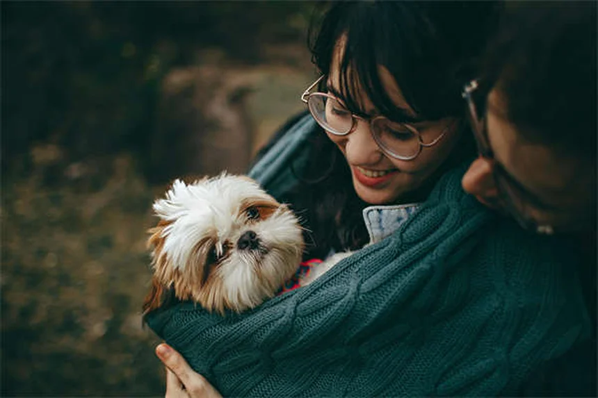 고양이 목·등 통증 증상과 치료법 총정리 (초보 집사 필독!)
